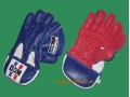 BDM DYNAMIC SUPER CRICKET WICKET KEEPING GLOVES