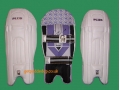 CA Sports PLUS CRICKET WICKET KEEPING PADS