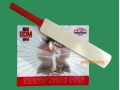 BDM TWENTY20 CRICKET CUP JUNIOR SUPPORTERS PACK