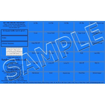 fundraisingcards.co.uk Free Pack Cricket Fundraising/Raffle Cards